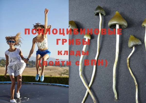 MDMA Белокуриха
